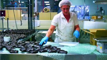 阿德萊德一日游 山頂瞭望臺、野生動物園、德國村、黑氏巧克力與格雷爾海灘之旅