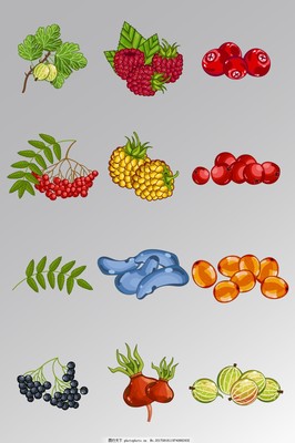 一組精美的水果蔬菜矢量圖素材及其應用