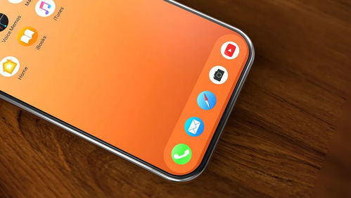 iPhone XR 2 正面曝光 真全面屏設(shè)計(jì)或?qū)⒁I(lǐng)智能手機(jī)新潮流